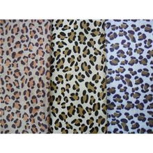 探索特殊鞋材0019 革新鞋履科技的未來之選