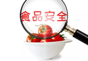守護(hù)舌尖安全，共筑食安淄博——關(guān)于征集市民最關(guān)心的食品安全與餐飲管理問題的倡議